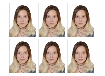 Ausweisbild Galerie Titelbild