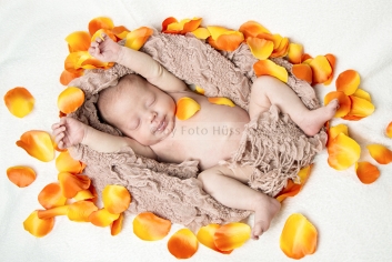 Foto Hüss - Portrait - Baby - Newborn
